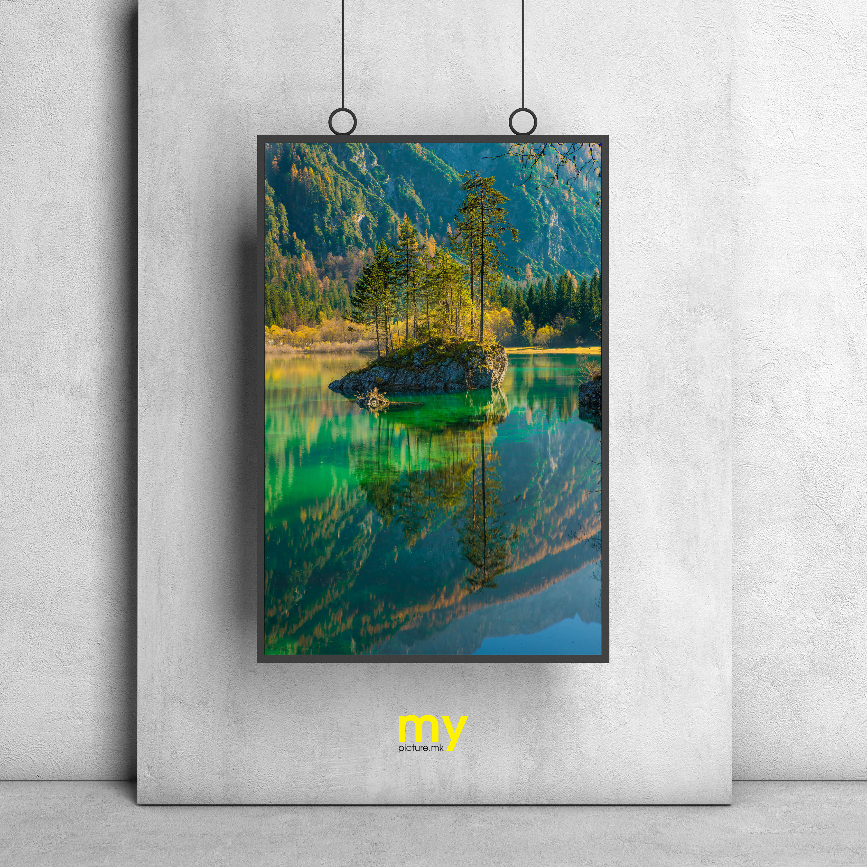 MYpicture / Nature Collection