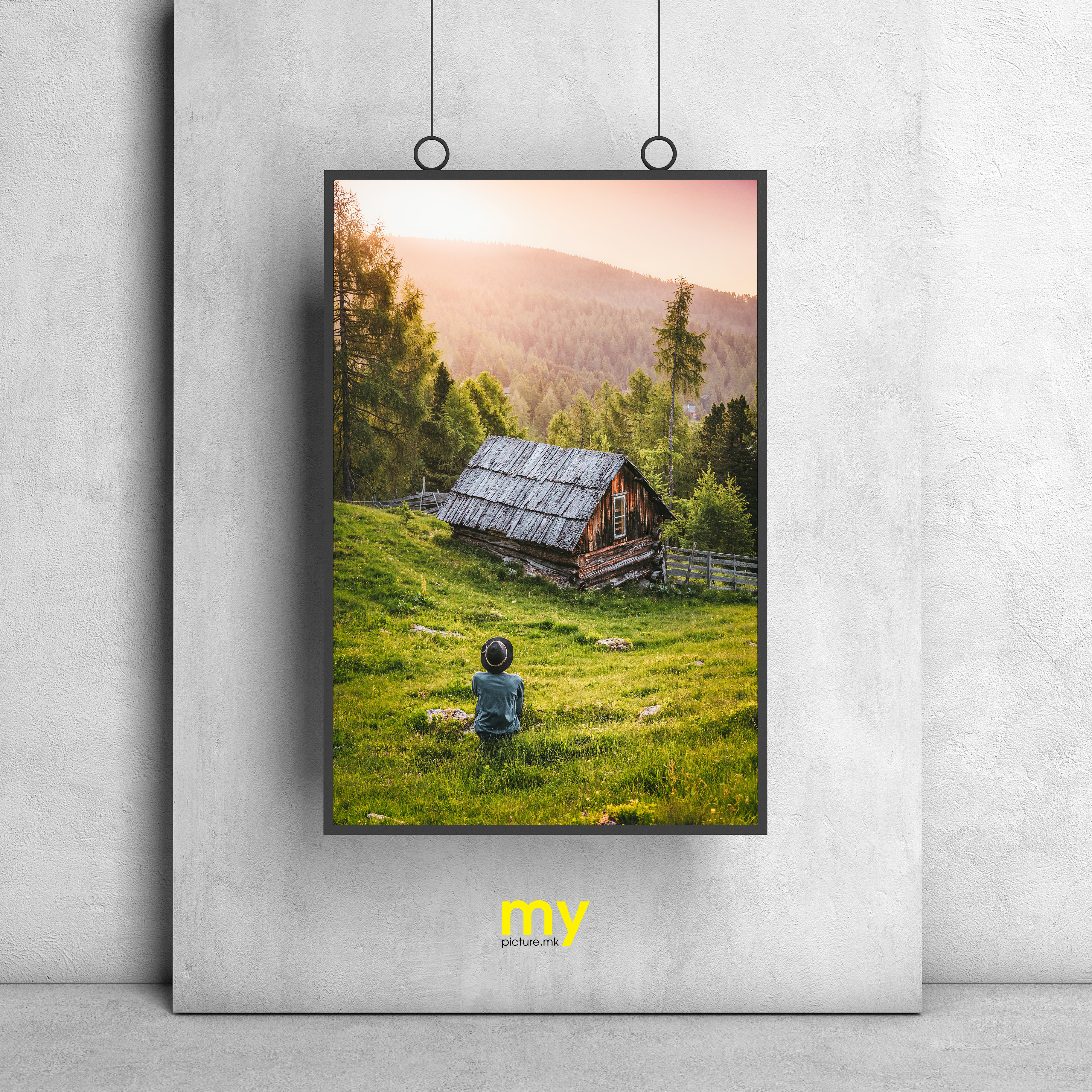 MYpicture / Nature Collection