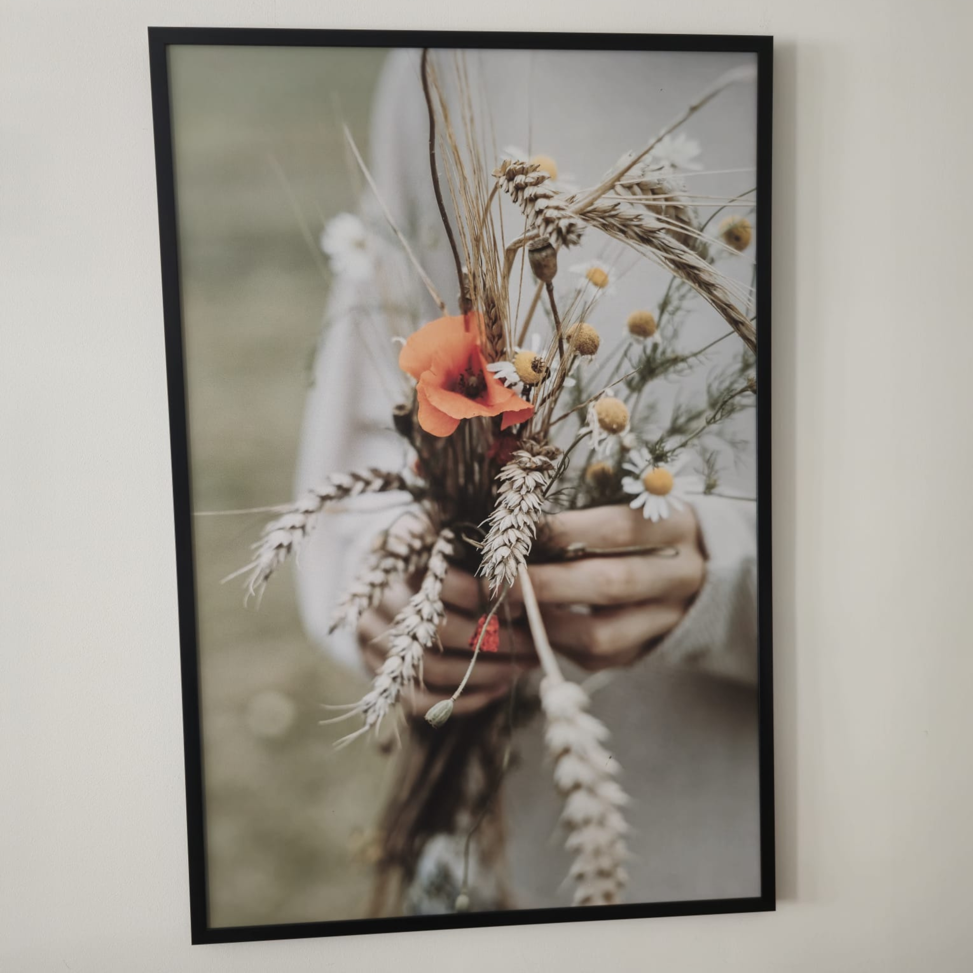 MYpicture / Nature Collection