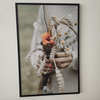 MYpicture / Nature Collection